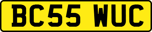 BC55WUC
