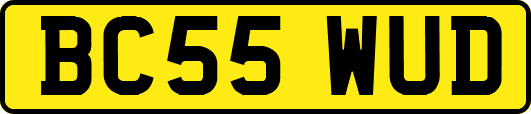 BC55WUD
