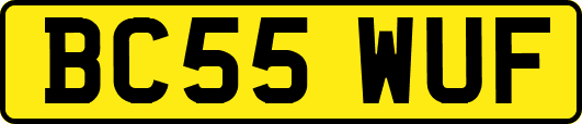 BC55WUF