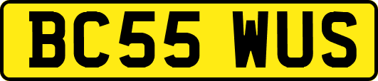 BC55WUS