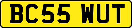 BC55WUT