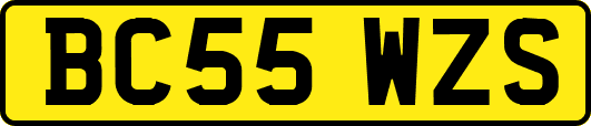 BC55WZS