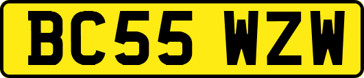 BC55WZW
