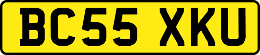 BC55XKU