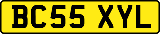 BC55XYL