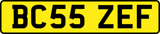 BC55ZEF