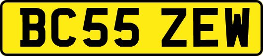 BC55ZEW
