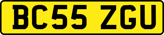 BC55ZGU