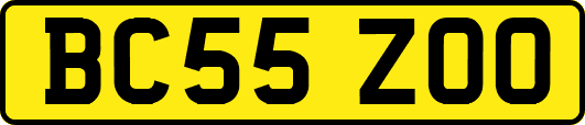 BC55ZOO