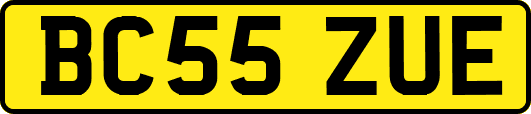 BC55ZUE
