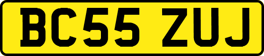 BC55ZUJ