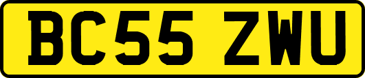 BC55ZWU