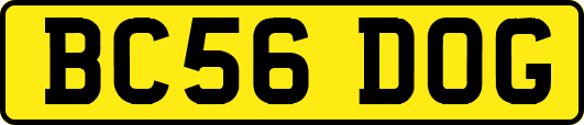 BC56DOG