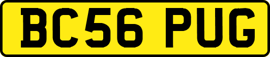 BC56PUG
