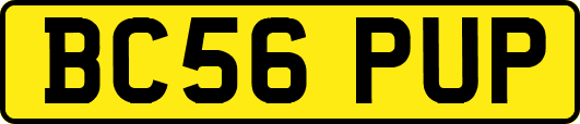 BC56PUP