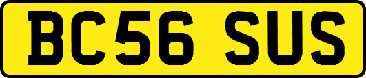 BC56SUS