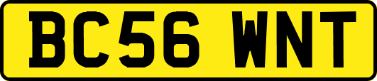 BC56WNT