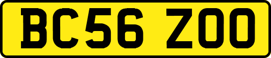 BC56ZOO