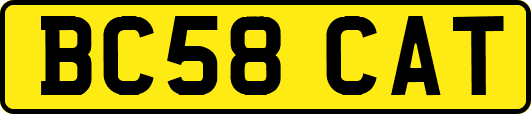 BC58CAT