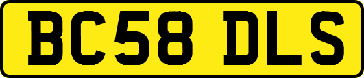 BC58DLS
