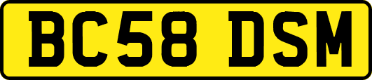BC58DSM