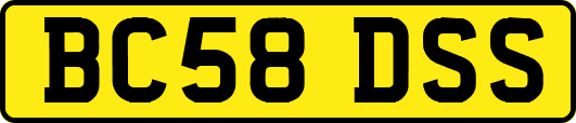 BC58DSS