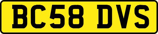 BC58DVS