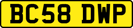 BC58DWP