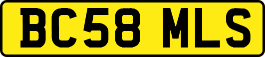 BC58MLS