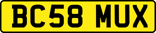 BC58MUX