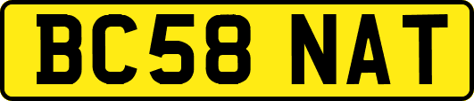 BC58NAT