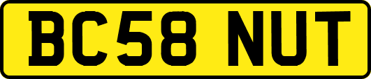 BC58NUT
