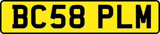BC58PLM