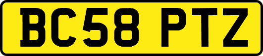 BC58PTZ