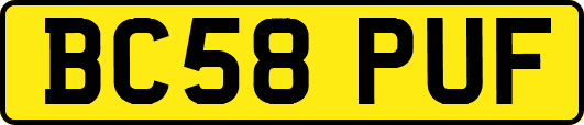 BC58PUF