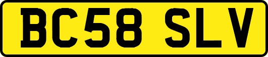 BC58SLV
