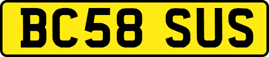 BC58SUS
