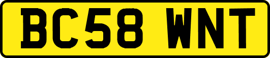 BC58WNT