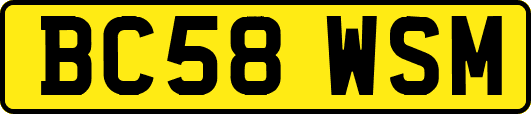BC58WSM