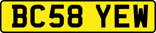 BC58YEW