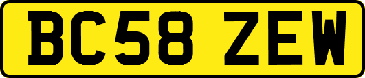 BC58ZEW