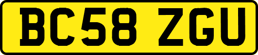 BC58ZGU