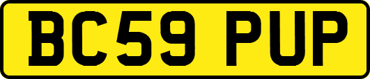 BC59PUP