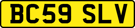 BC59SLV