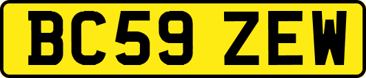 BC59ZEW
