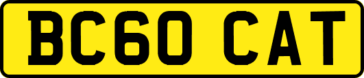 BC60CAT