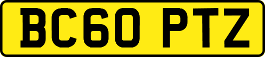 BC60PTZ