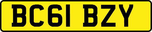 BC61BZY