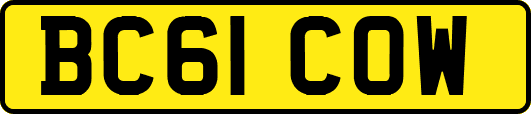 BC61COW