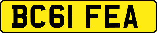 BC61FEA